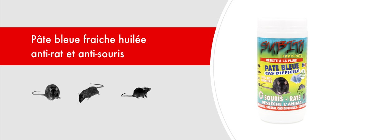 Pâte Bleue fraîche huilée anti-rat et anti-souris cas difficile 500 gr de Subito
