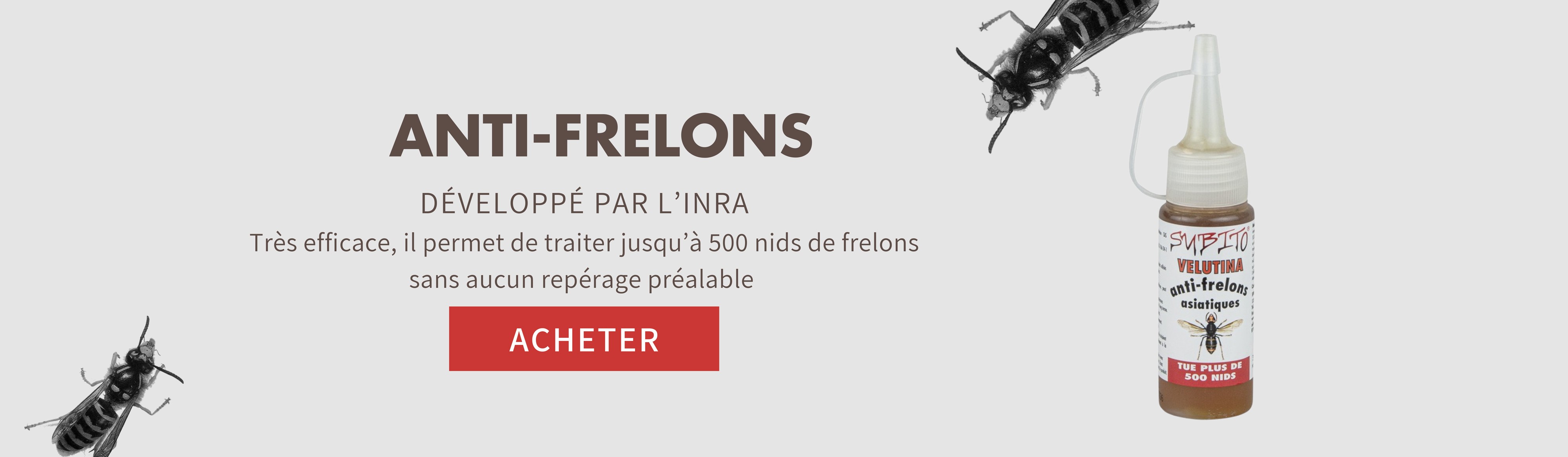 Insecticide anti frelons